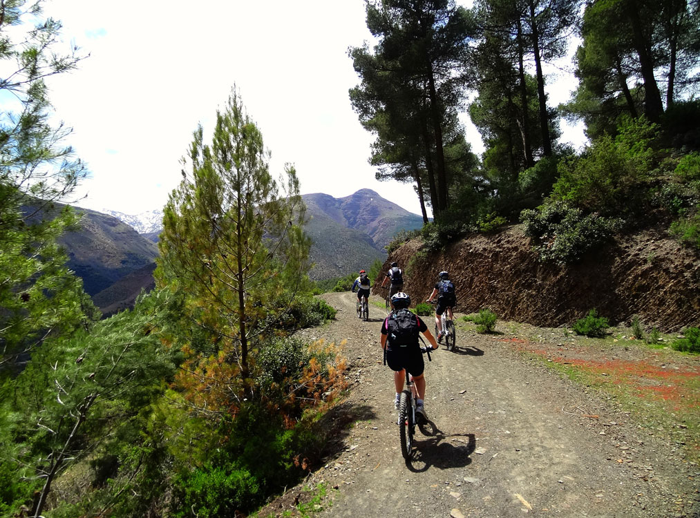 Jewish Heritage Tour