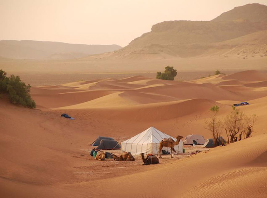 Sahara Desert Adventure