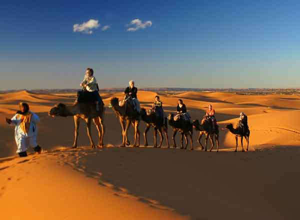 sahara-desert