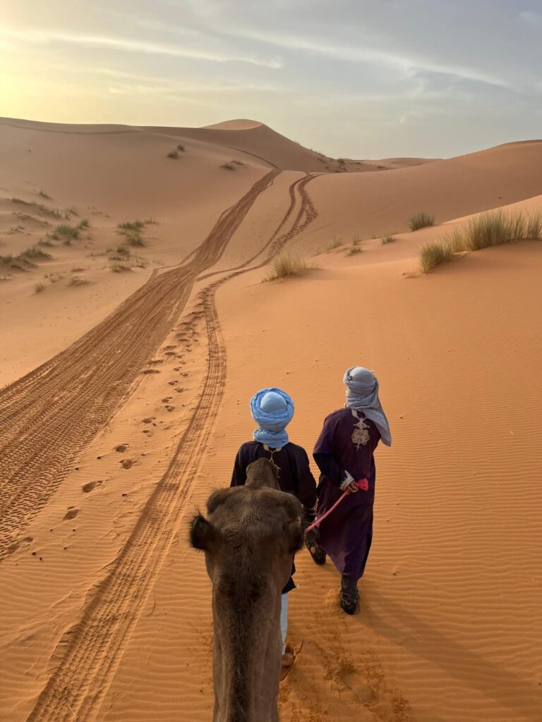 Two camel guides in turbans leading a camel through orange sand dunes