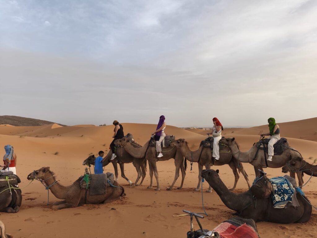 Riders on camels with face scarves among the sand dunes